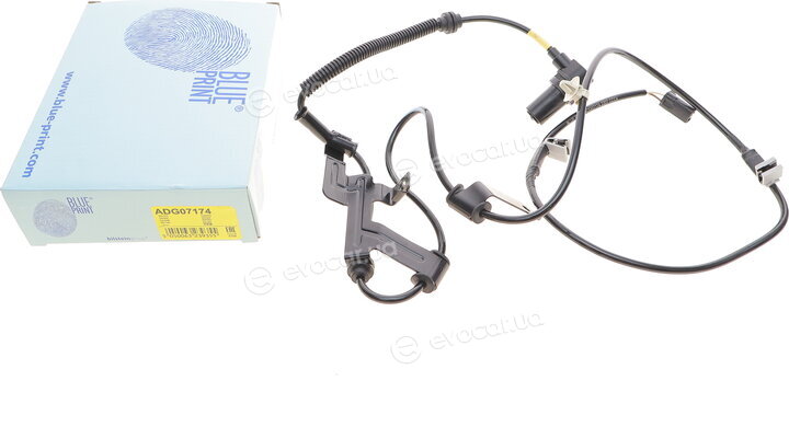 Blue Print ADG07174