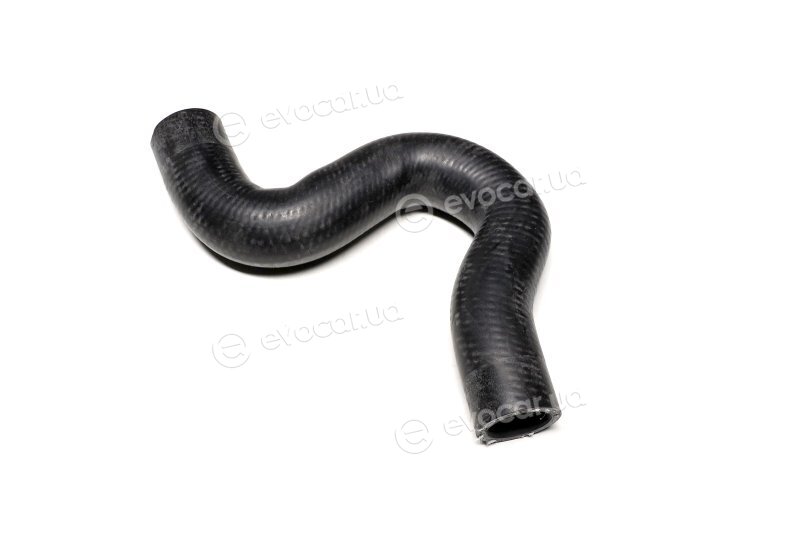 Sasic 3400064