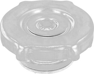 Mopar (PSA / FCA) 52028974AA