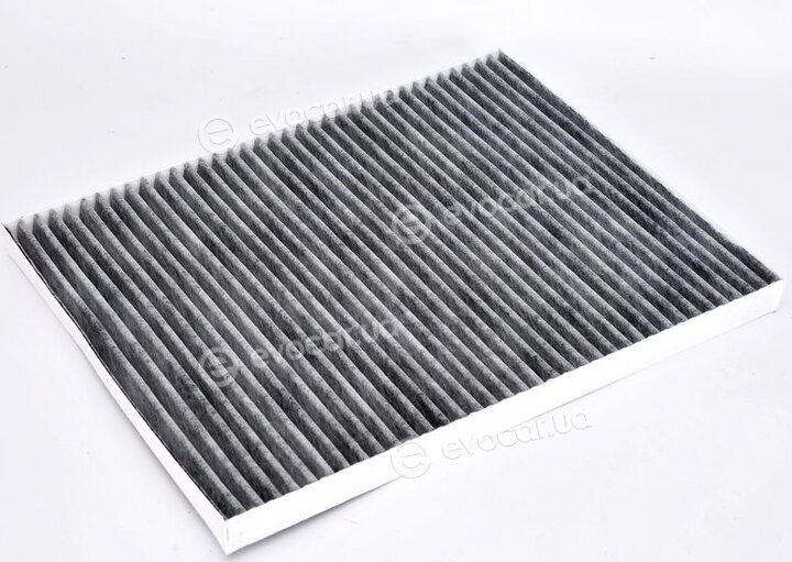 Filtron K 1001A