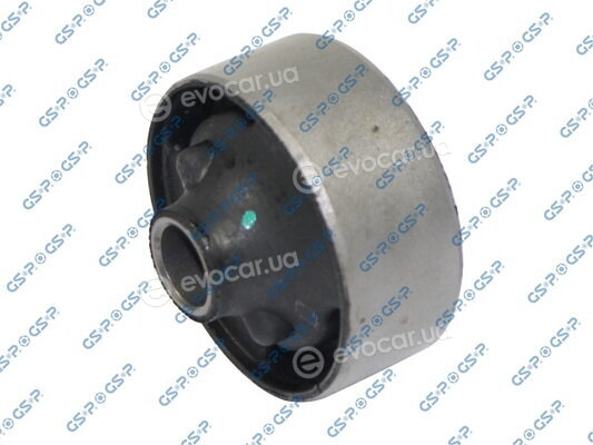 GSP 516689