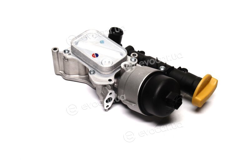 AVA OL3686H