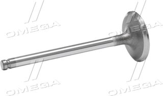 Gunes 6906