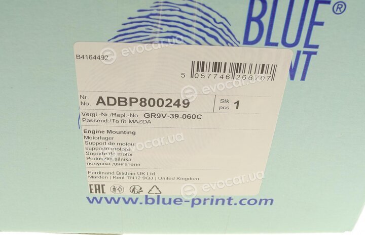 Blue Print ADBP800249