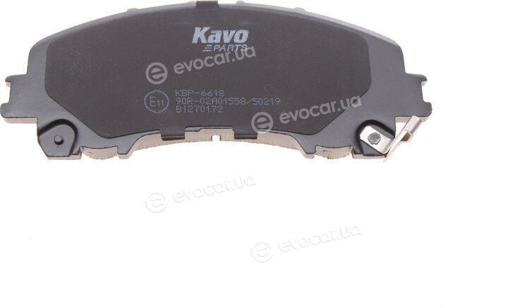 Kavo KBP-6618