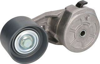 Dayco APV1098