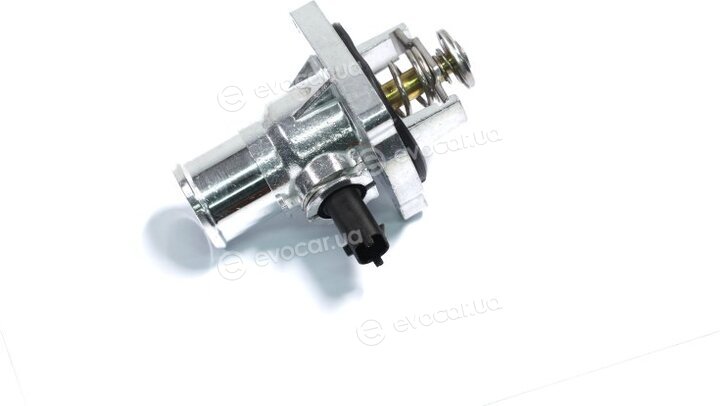 Sasic 3306054