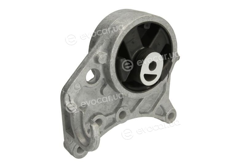 Reinhoch RH11-6009