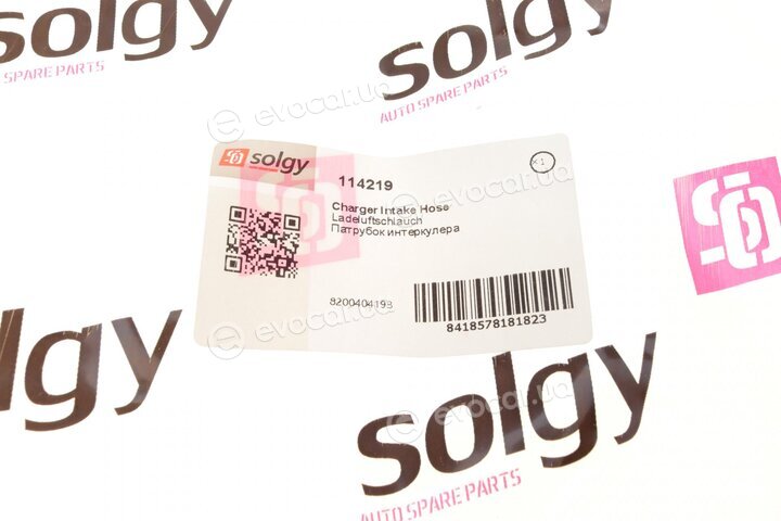 Solgy 114219