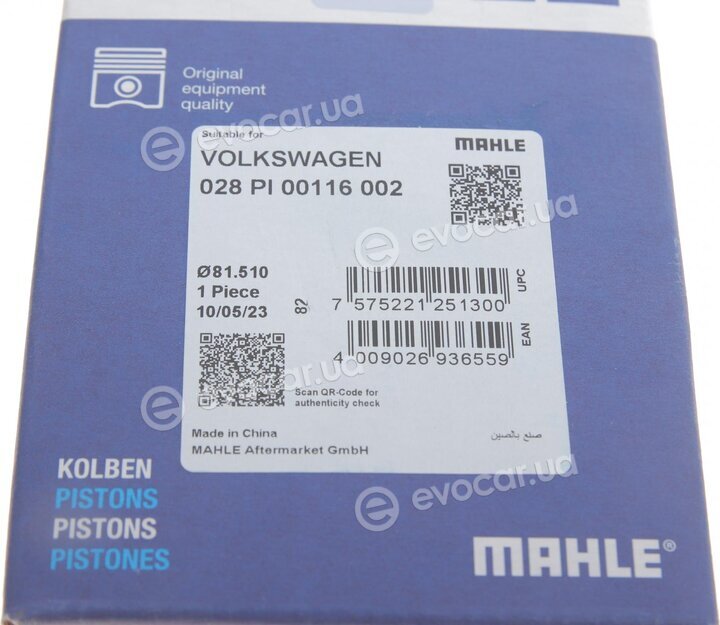 Mahle 028 PI 00116 002