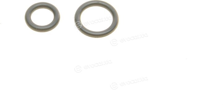 Borsehung B10533