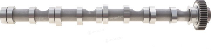 Borsehung B12522