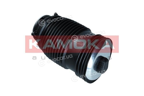Kamoka 2079048