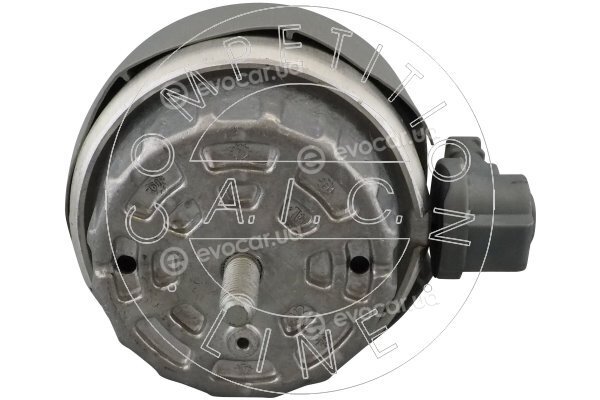 AIC 57407