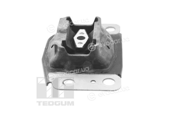 Tedgum 35055