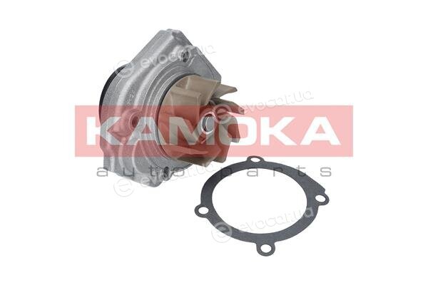 Kamoka T0013