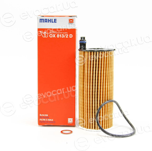 Mahle OX 813/1D