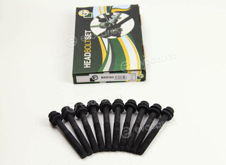 BGA BK0160