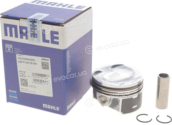 Mahle 028 PI 00118 001