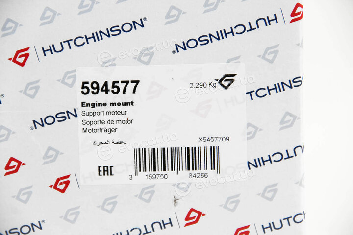 Hutchinson 594577
