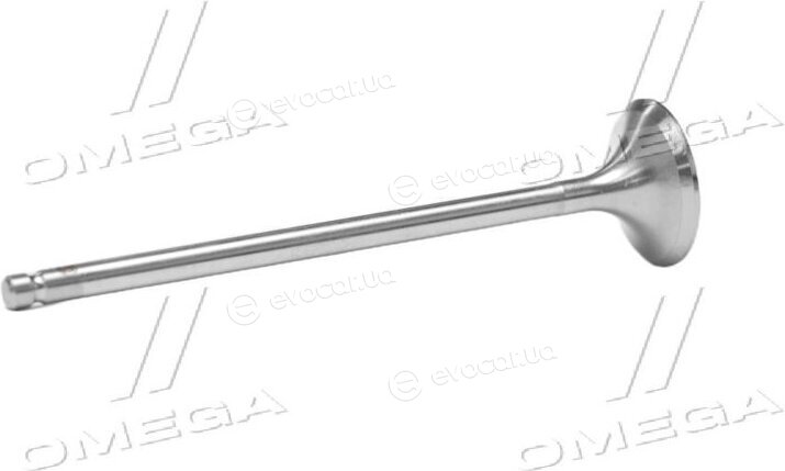 Gunes 6823