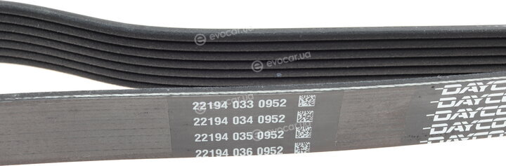 Dayco 7PK1975