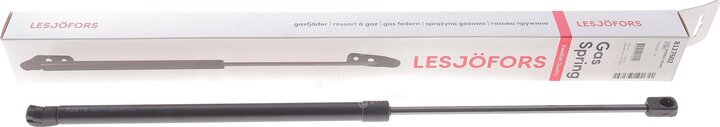 Lesjofors 8127602
