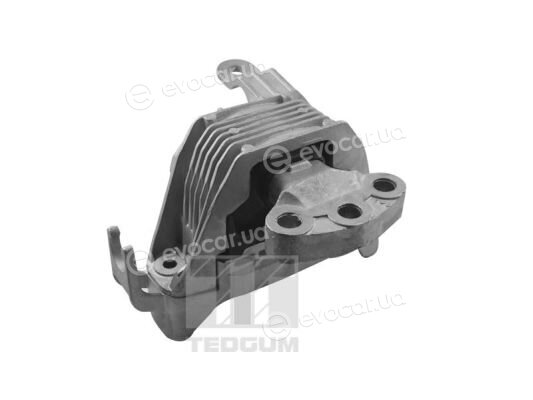 Tedgum TED86251