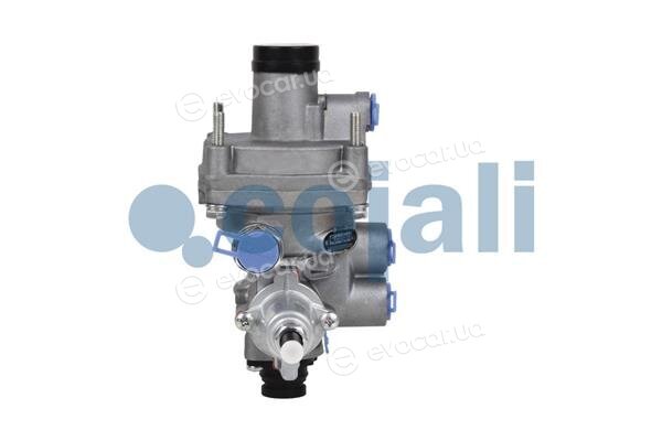 Cojali 2220439