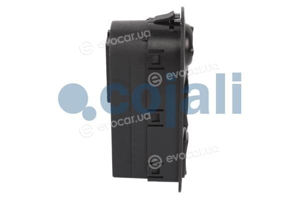 Cojali 2260554