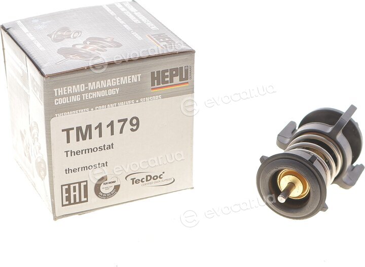 Hepu TM1179