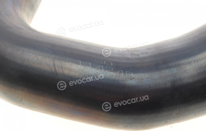 Solgy 114248