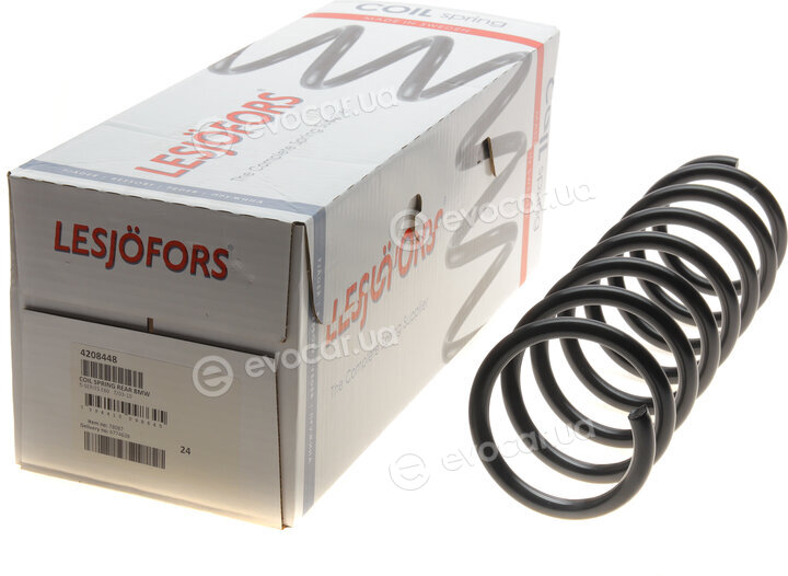 Lesjofors 4208448