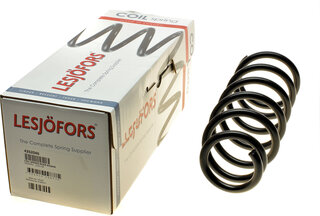 Lesjofors 4262046