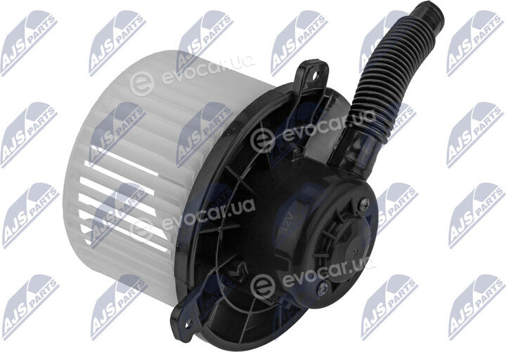 NTY EWN-MS-004