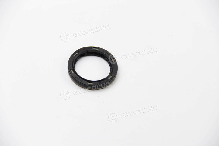 Elring 158.060