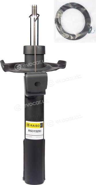 Raiso RS315293