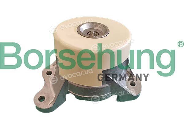 Borsehung B12654