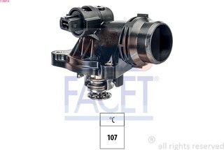 Facet 7.8874