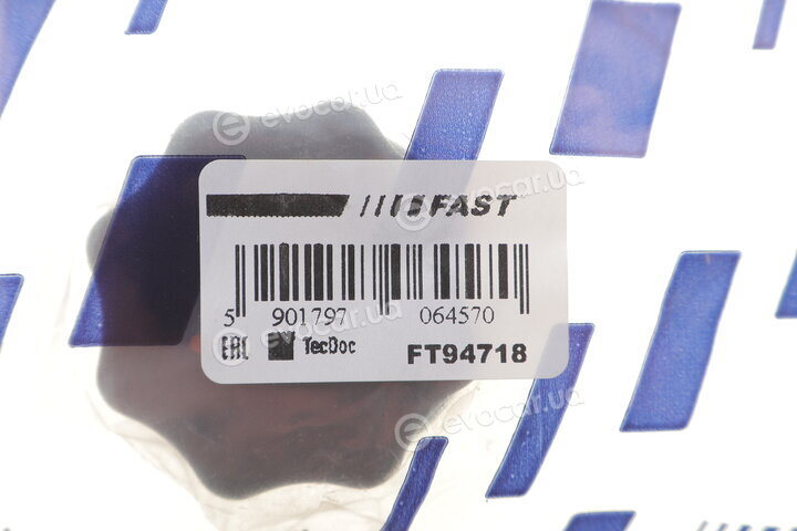Fast FT94718