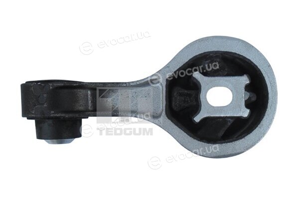 Tedgum 00507121