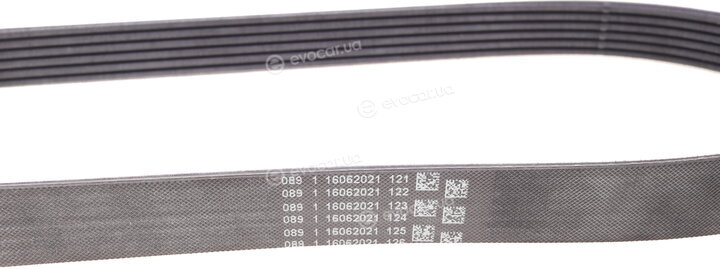 Continental 6PK873 ELAST