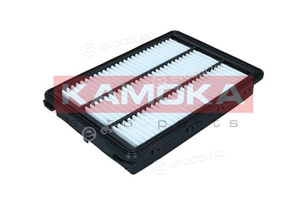 Kamoka F259201