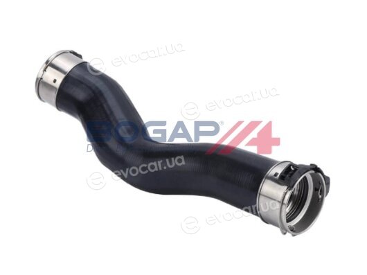 Bogap B1711152