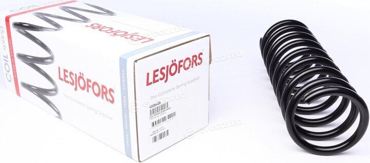 Lesjofors 4208428