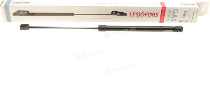 Lesjofors 8104256