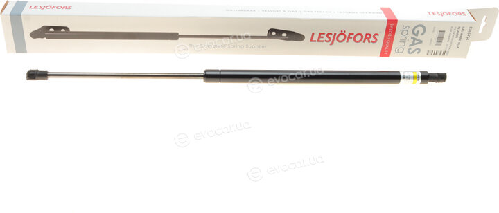 Lesjofors 8166754