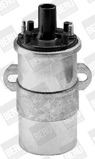 BorgWarner ZS118