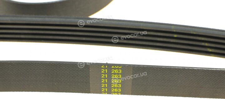 Dayco 5PK2060