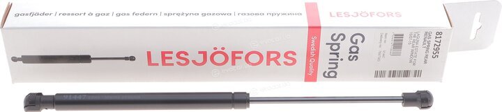 Lesjofors 8172955